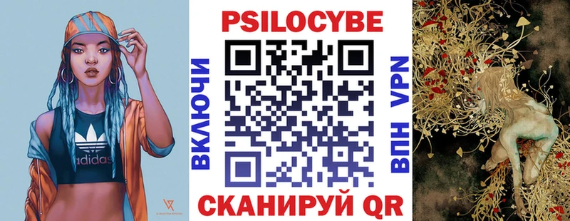 Псилоцибиновые грибы Psilocybine cubensis сколько стоит Грайворон
