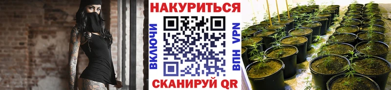 Конопля семена  дарк нет как зайти  Грайворон 